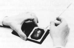Abraham Lincoln Daguerreotype
