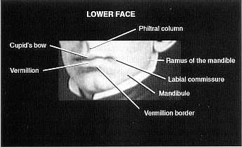 the Kaplan Daguerreotype
